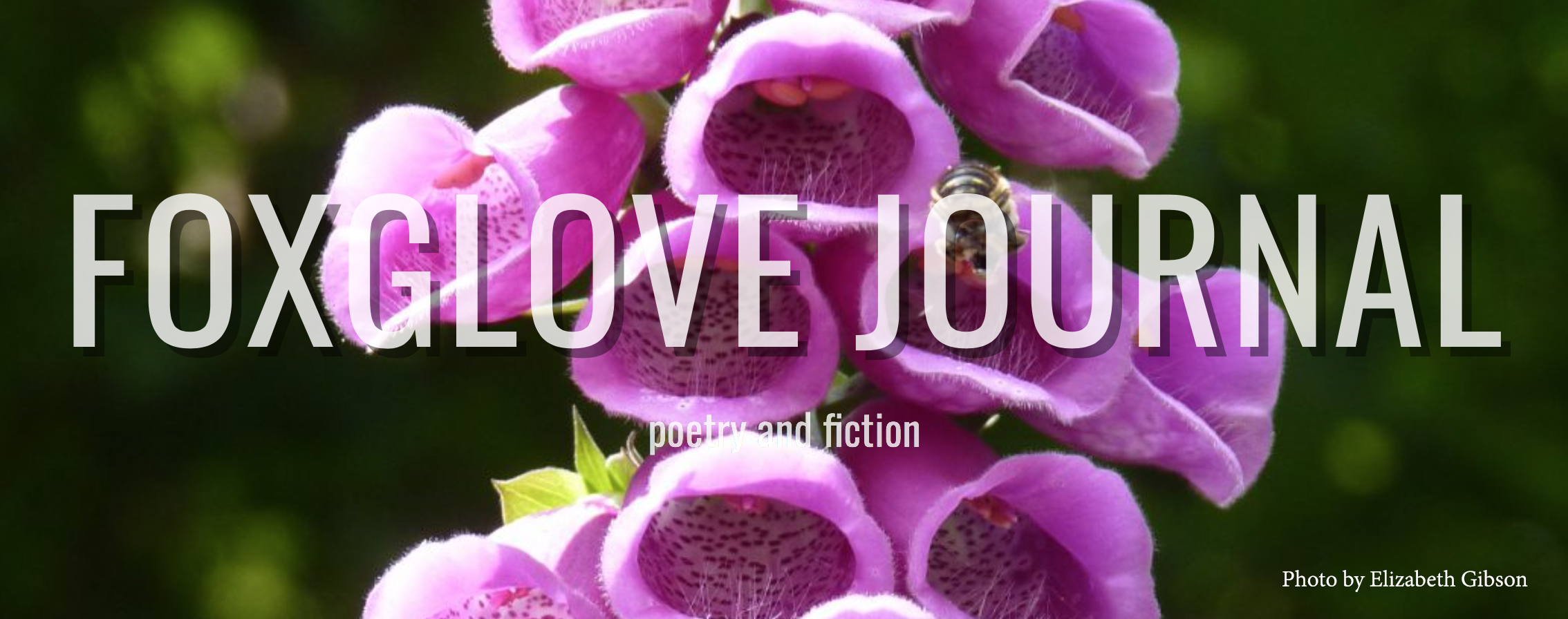 Foxglove Journal – Kersten Christianson, Poet