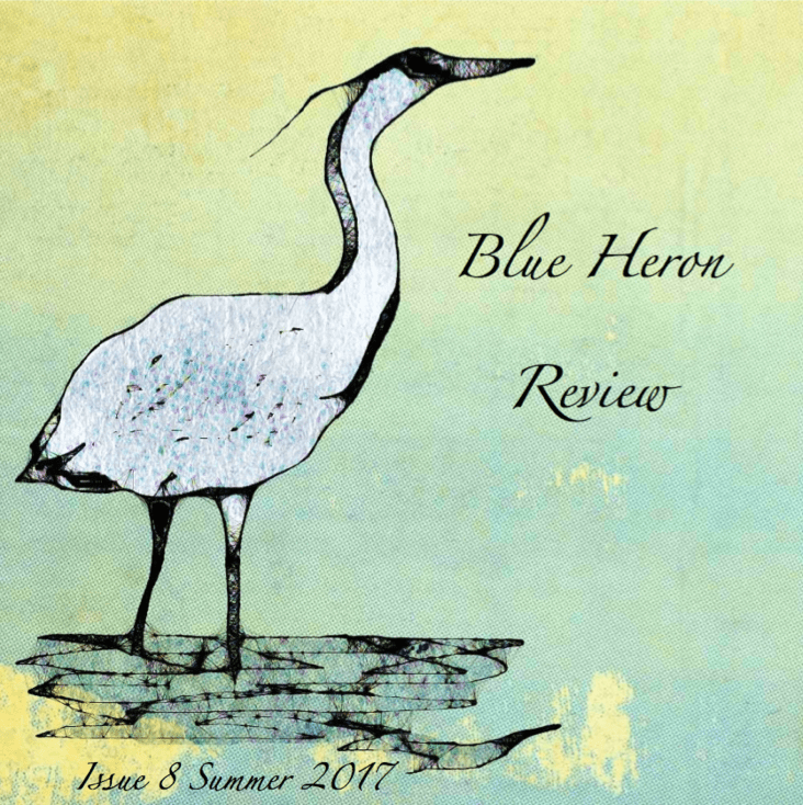 bhr-issue-8-summer-2017-cover-image