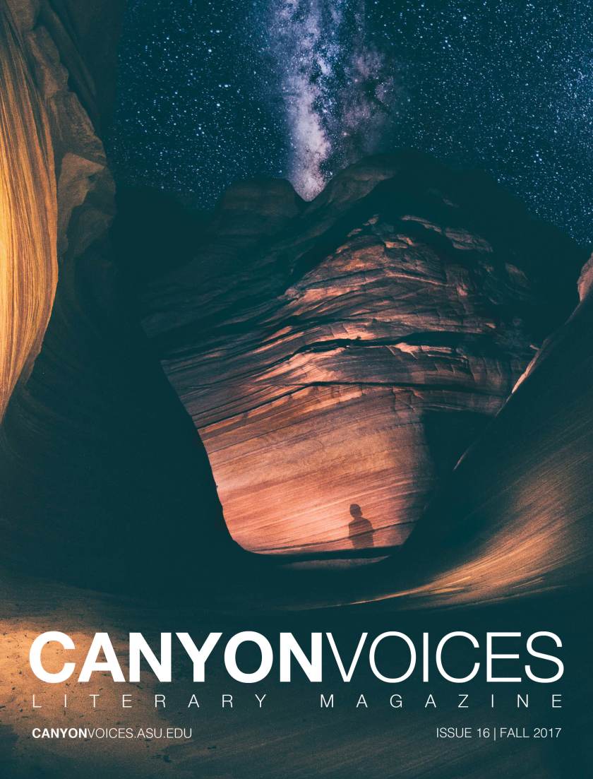 CV Fall 2017 v5.1 cover.jpg