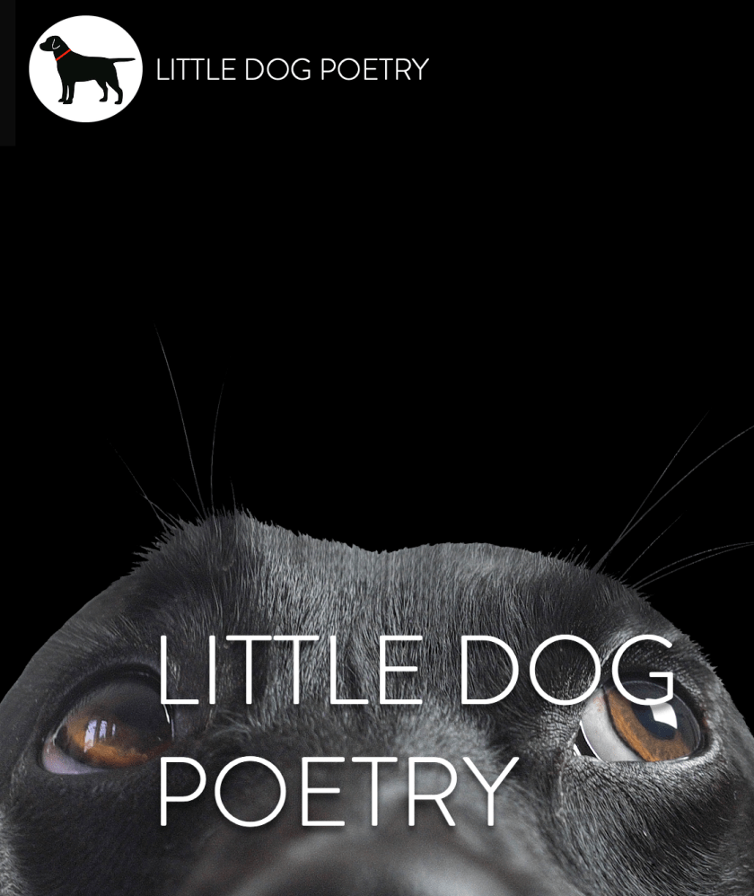Little Dog Poetry