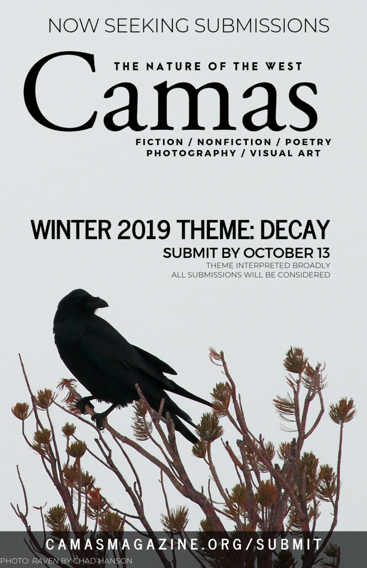 Camas_Winter2019SubPoster